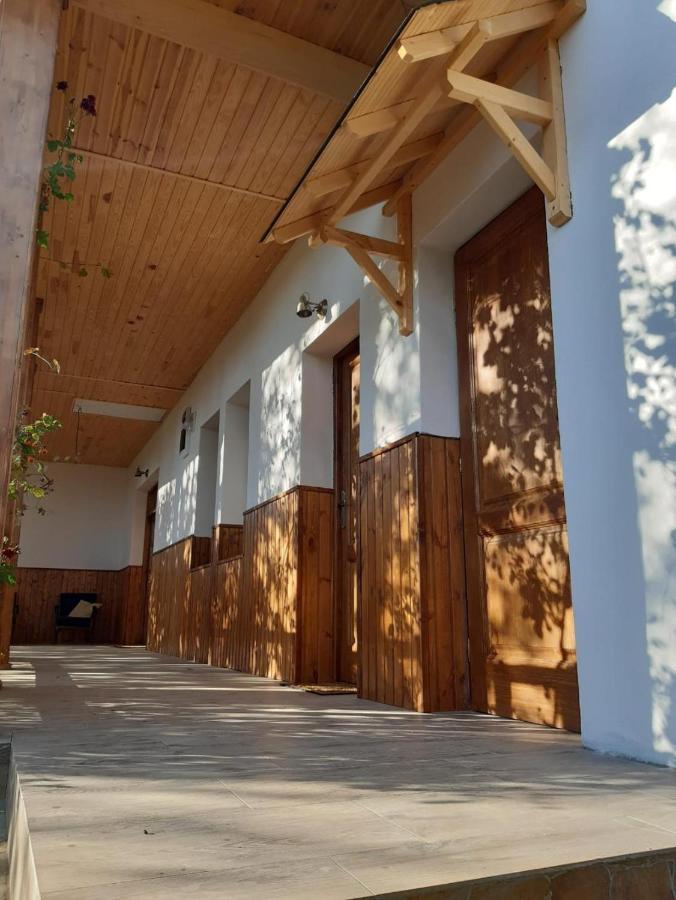 Pensiunea Dodo Patarlagele Exterior foto