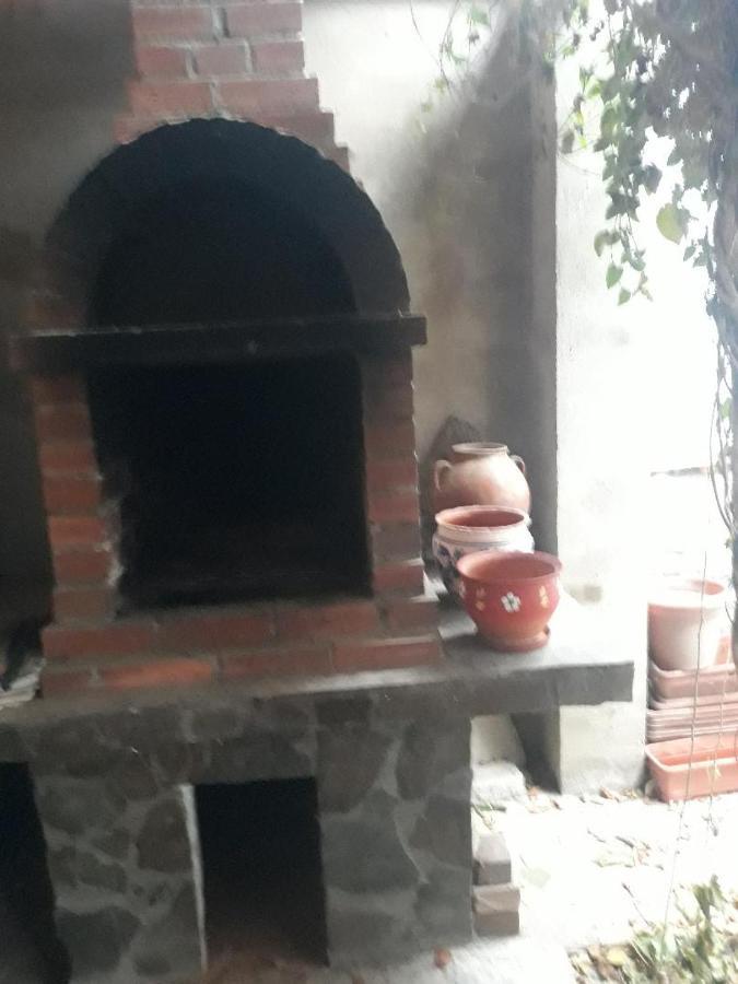 Pensiunea Dodo Patarlagele Exterior foto