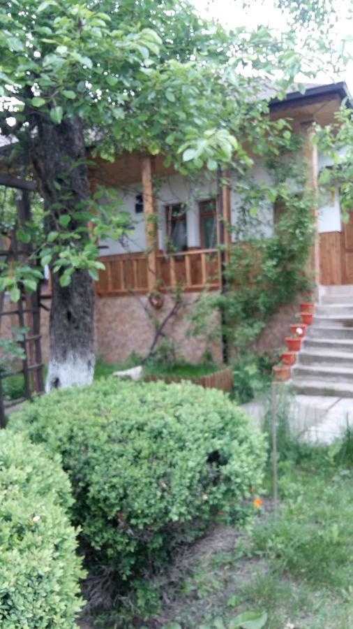 Pensiunea Dodo Patarlagele Exterior foto