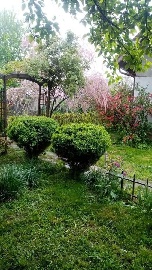 Pensiunea Dodo Patarlagele Exterior foto