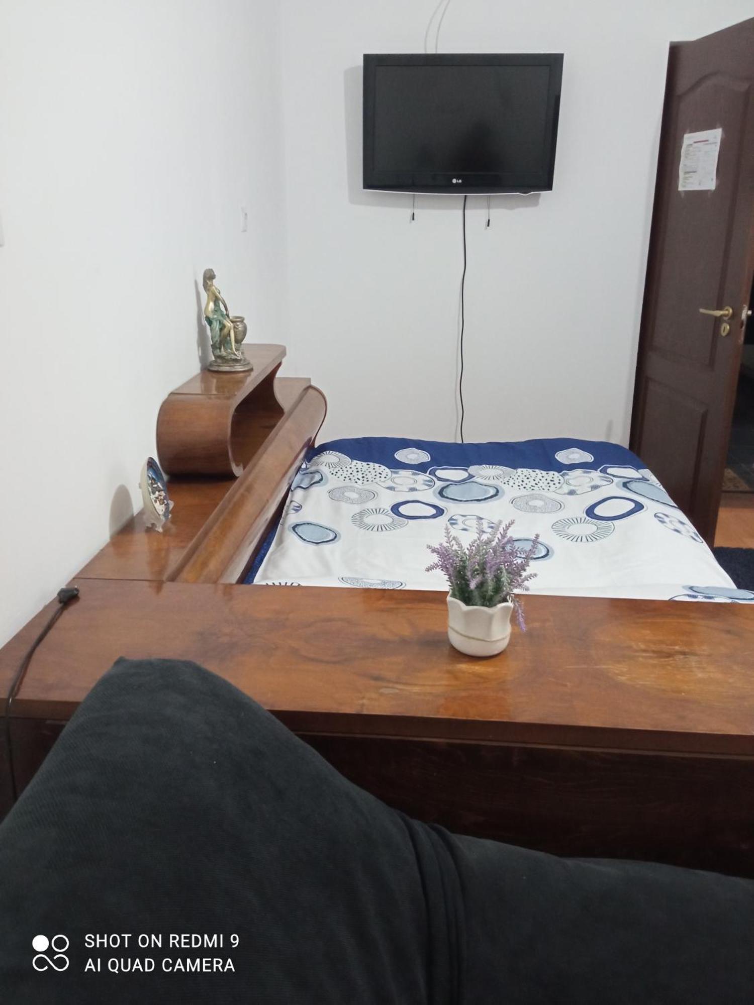 Pensiunea Dodo Patarlagele Habitación foto
