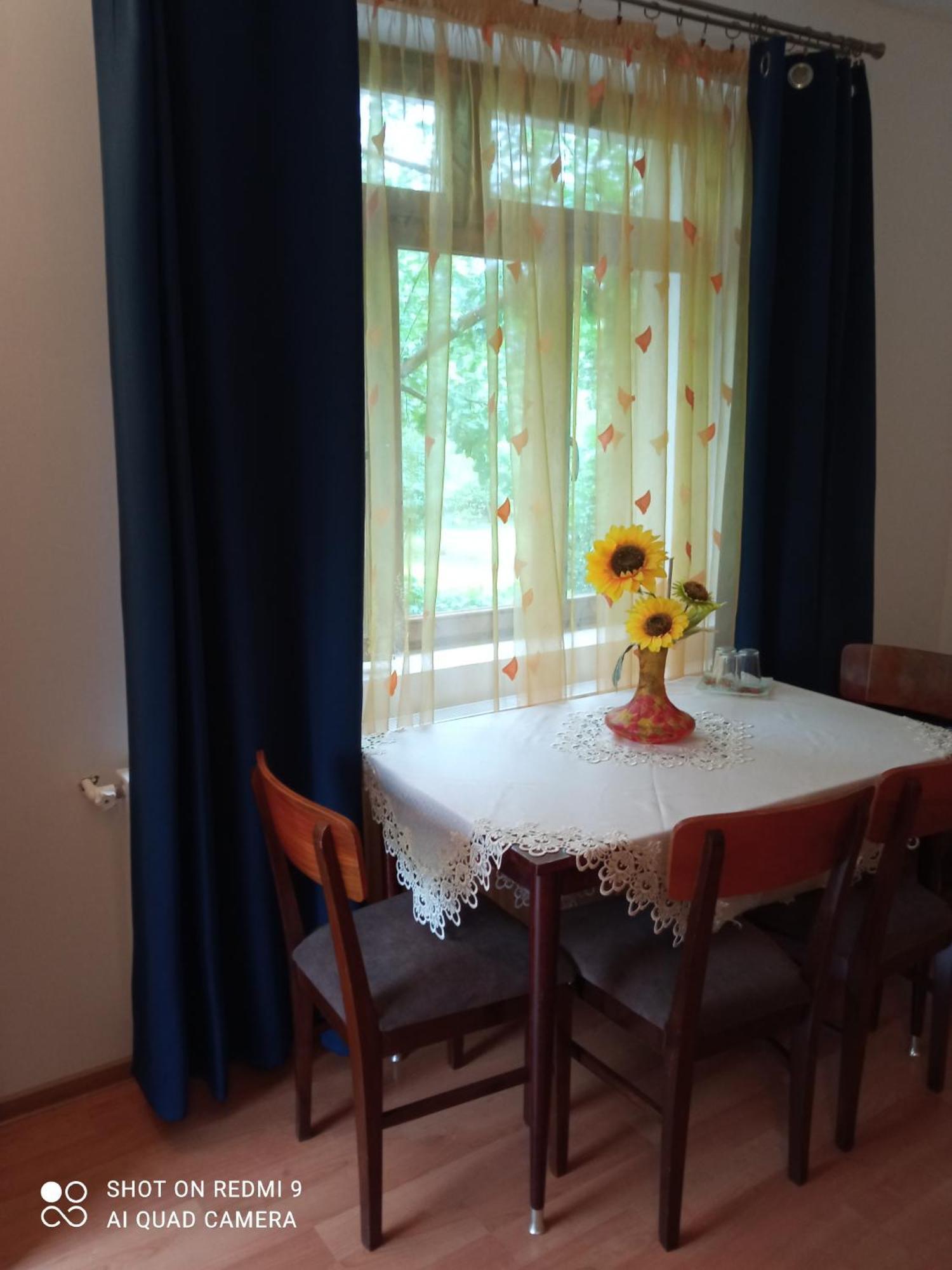 Pensiunea Dodo Patarlagele Habitación foto