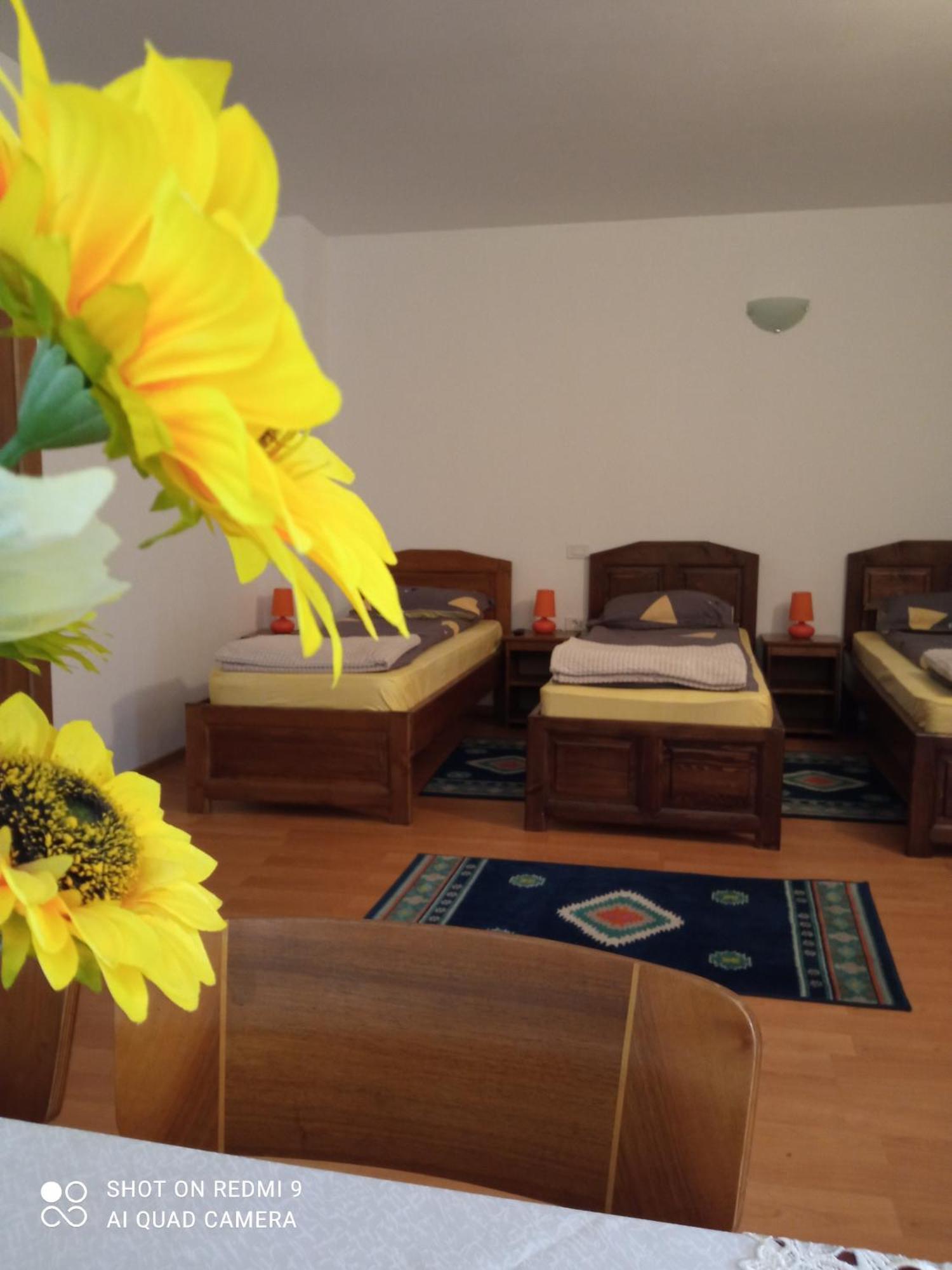 Pensiunea Dodo Patarlagele Habitación foto